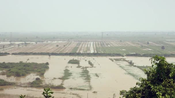 Paisagem rural e campos de arrozais inundados como pano de fundo — Vídeo de Stock