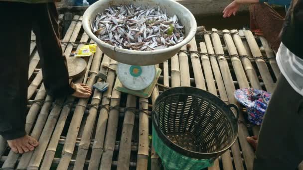 Fisher e cliente pesano pesce fresco pescato su una zattera di bambù — Video Stock