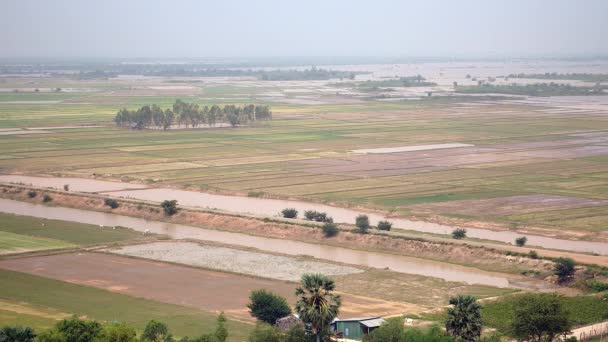 Ländliche Landschaft und überflutete Reisfelder im Hintergrund — Stockvideo