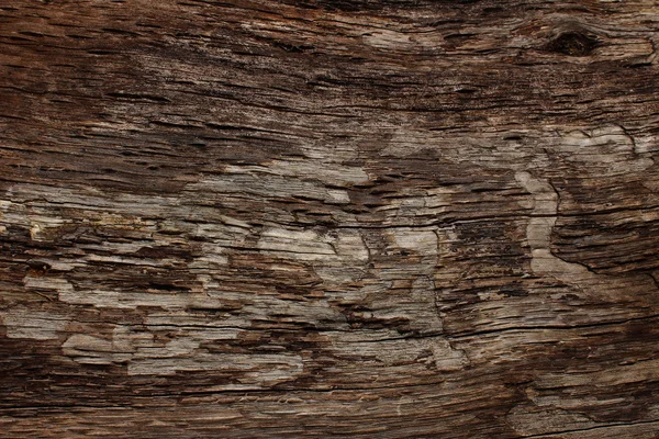 Textura de madeira — Fotografia de Stock