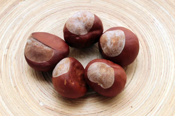 Decorazione castagne — Foto Stock