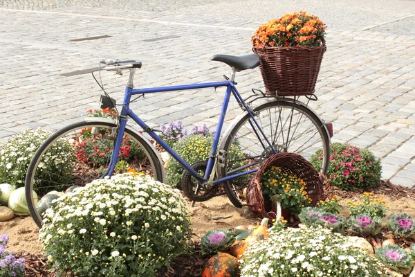 Old bicycle carrying flowers — Stock Photo, Image