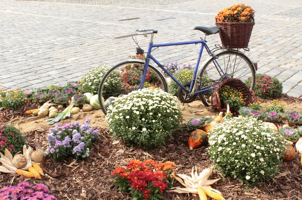 Старий велосипед з квітами — стокове фото