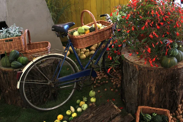 Старий велосипед з квітами — стокове фото