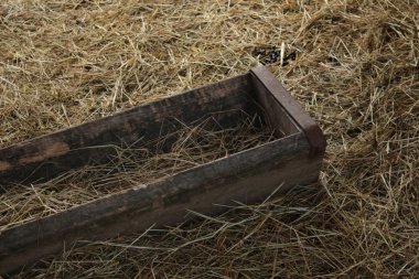 Hayvan besleme kararlı saman