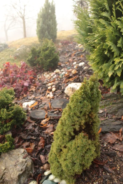 Кам'яний сад восени — стокове фото