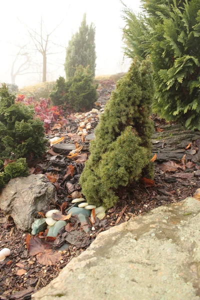 Кам'яний сад восени — стокове фото