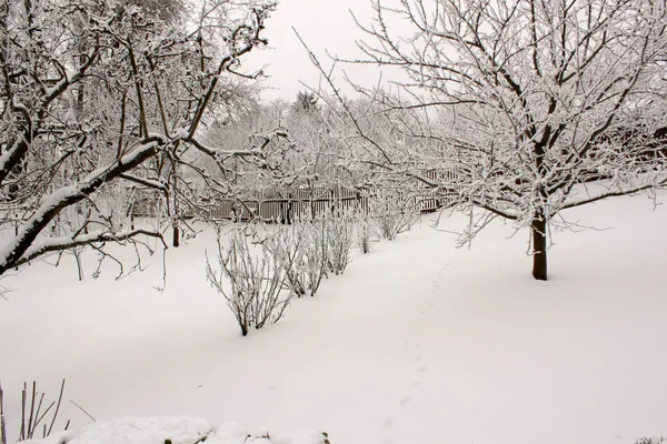 Winter landschap aard — Stockfoto