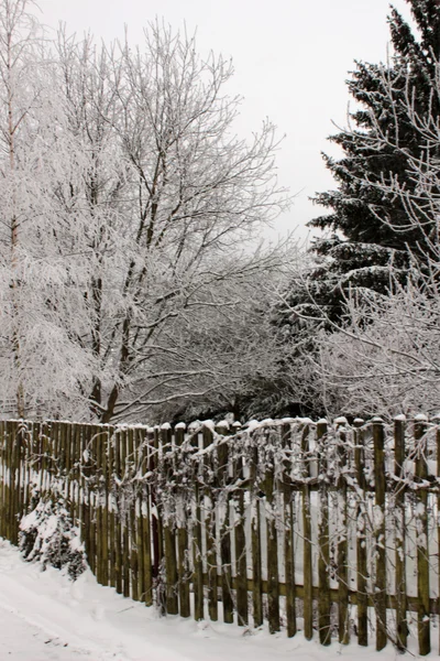 Naturaleza paisaje invierno —  Fotos de Stock