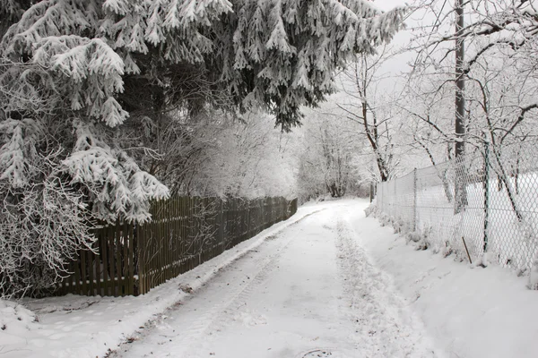 Naturaleza paisaje invierno —  Fotos de Stock
