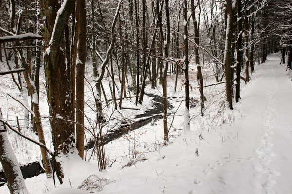 Inverno paisagem natureza — Fotografia de Stock