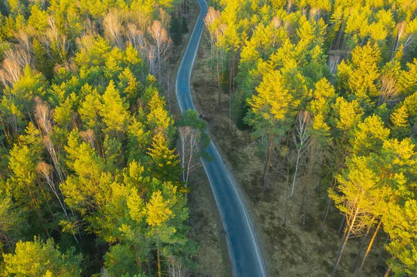 Uma Estrada Sinuosa Asfalto Atravessando Uma Floresta Pinheiros Vista Drone — Fotografia de Stock