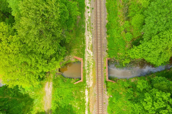 Uma Ferrovia Localizada Uma Floresta Verde Vista Uma Grande Altura — Fotografia de Stock