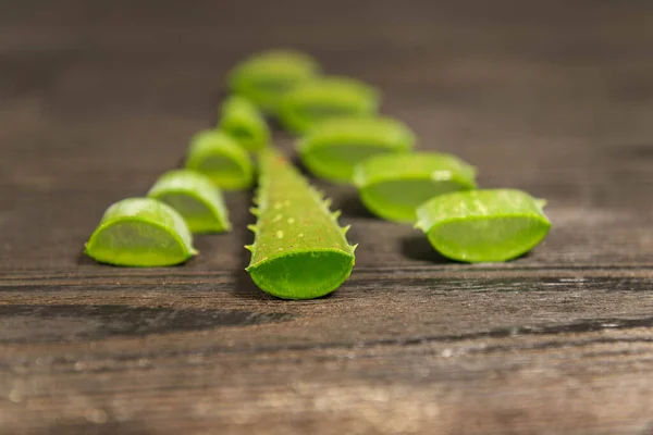 Aloe Vera yaprakları çapraz kesilmiş ve tahtalardan yapılmış koyu ahşap bir arka planda düzenlenmiş. Yaprağın iç kısmının jelatinimsi yapısını görebilirsiniz. Kesişen bölge nemli ve suyu akıyor..