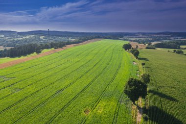 Sudeten etekleri. Çayırlarla, çayırlarla, ağaç kümeleriyle kaplanmış dalgalı bir arazi. Uzakta ufukta dağları görebilirsin. İHA 'dan fotoğraf..