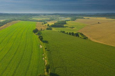 Sudeten etekleri. Çayırlarla, çayırlarla, ağaç kümeleriyle kaplanmış dalgalı bir arazi. Uzakta ufukta dağları görebilirsin. İHA 'dan fotoğraf..