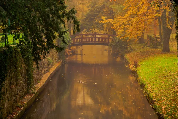 波兰伊洛瓦市的庄园公园 树上有黄色的叶子 雾在树间升起 — 图库照片