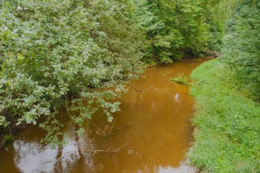 Yoğun çalılıklarla kaplı bir ormanın içinden akan küçük bir ova nehri. Yağmur yağdıktan sonra nehirdeki suyun kahverengi bir rengi vardır. İnsansız hava aracından görüntüle.