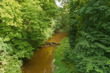 Yoğun çalılıklarla kaplı bir ormanın içinden akan küçük bir ova nehri. Yağmur yağdıktan sonra nehirdeki suyun kahverengi bir rengi vardır. İnsansız hava aracından görüntüle.