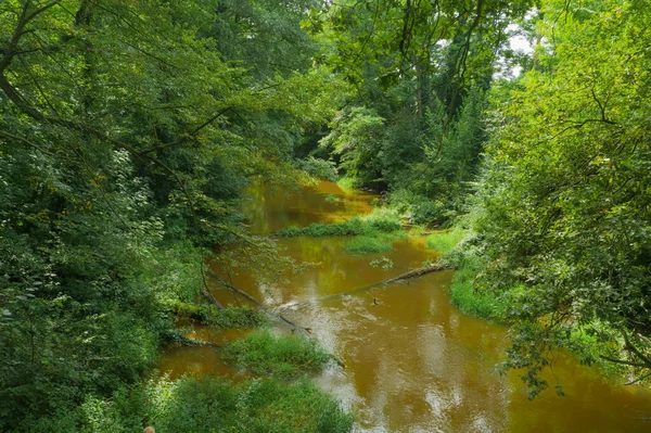 A small lowland river flowing through a forest covered with dense thickets. After rainfall, the water in the river has a brown color. View from the drone.