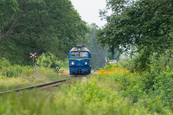 Una Locomotora Diesel Que Viaja Sobre Raíles Bosque Cielo Está — Foto de Stock