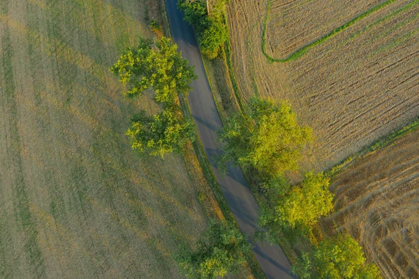 覆盖着可耕地和草地的平缓的地形 苏台德山麓 在框架的中心 你可以看到一条柏油路 这是一个阳光灿烂的日子 这张照片是用无人驾驶飞机从高处拍的 — 图库照片