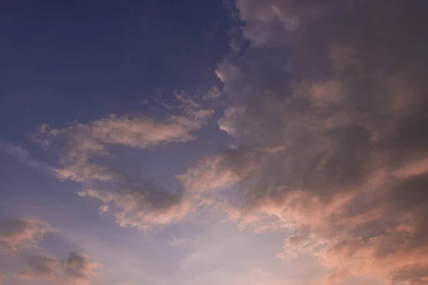 Une Plaine Couverte Herbe Une Ligne Arbres Loin Ciel Est — Photo