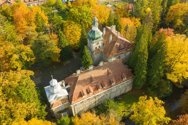 Zabytkowy Pałac Położony Miejscowości Ilowa Polsce Znajduje Się Parku Otoczony — Zdjęcie stockowe