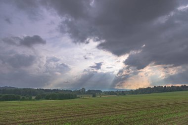 Ovadaki tarlalar ve çayırlar. Ufuktaki Karkonosze Dağlarının sisli zirveleri.