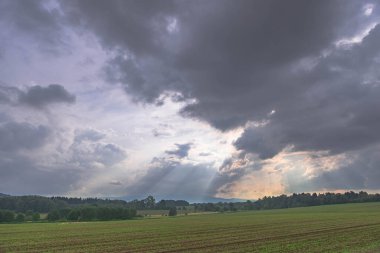 Ovadaki tarlalar ve çayırlar. Ufuktaki Karkonosze Dağlarının sisli zirveleri.