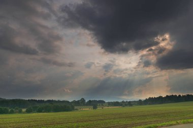 Ovadaki tarlalar ve çayırlar. Ufuktaki Karkonosze Dağlarının sisli zirveleri.