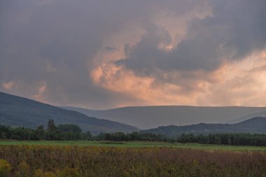 Ovadaki tarlalar ve çayırlar. Ufuktaki Karkonosze Dağlarının sisli zirveleri.