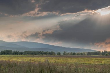 Ovadaki tarlalar ve çayırlar. Ufuktaki Karkonosze Dağlarının sisli zirveleri.