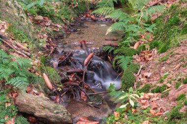 Kayalık zeminde akan küçük bir dağ deresi.