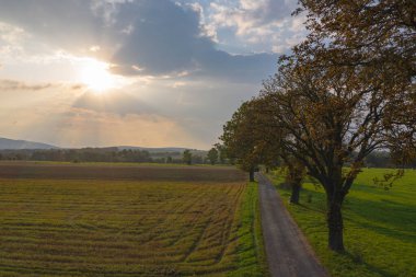 Tarıma elverişli tarlalar ve yeşil çayırlarla kaplı uçsuz bucaksız bir ova. Çerçevenin ortasında toprak bir yol, sağında kuru kahverengi yaprakları olan uzun kestane ağaçları görülebilir. Sol tarafta, çerçeve batan güneş tarafından aydınlatılır. İnsansız hava aracından görüntüle.