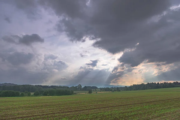 Ovadaki tarlalar ve çayırlar. Ufuktaki Karkonosze Dağlarının sisli zirveleri.