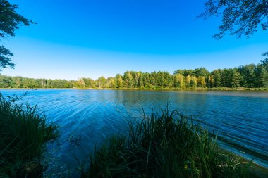 Güneşli bir sonbahar gününde bir göl. Bulutsuz gökyüzü güçlü bir rüzgarla dalgalanan suya yansıyor. Yeşil bir orman kıyıları kaplıyor..