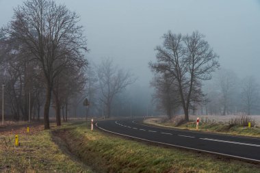 Kasım sabahında asfalt bir yol. Yolun iki tarafında da yapraksız ağaçlar var. Sis yerin üstünde asılı..