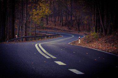Uzun bir ormanda asfalt bir yol. Sonbahardayız ve zemin kuru yapraklardan oluşan bir katmanla kaplı. Ağaçlar sarı ve kahverengi yapraklarla kaplıdır..
