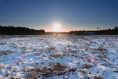 Çayır bir kar tabakası ile kaplıdır ve kuru otlar bazı yerleri dikizler. Uzakta bir orman görülebilir. Batan güneş ufukta görünüyor..