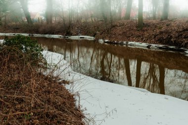 Kış boyunca küçük, kontrolsüz bir nehir. Devrilmiş ağaç gövdeleri suda görülebilir. Kıyı boyunca buz tabakaları var. Bankalarda kar yok..