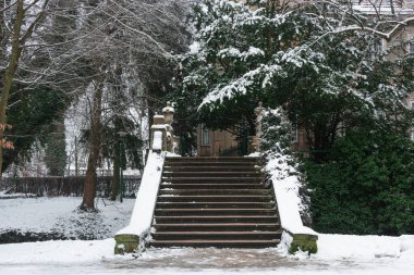 Park taş basamakları. Bugün kış günü. Basamaklar, onlara giden yol ve etrafındaki ağaçlar karla kaplı..