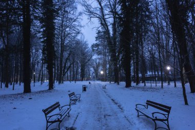 Kış akşamında bir park. Karanlık hüküm sürüyor, sokak lambalarıyla aydınlanıyor. Yollar, ağaçlar ve mimari elementler bir kar tabakasıyla kaplıdır..