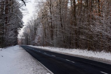 Kış günü asfalt bir yol. Yol siyah, her iki tarafında uzun ormanlar var. Zemin ve ağaç dalları bir kar tabakasıyla kaplıdır..