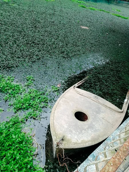 A sunken boat covered with moss. Abkhazia