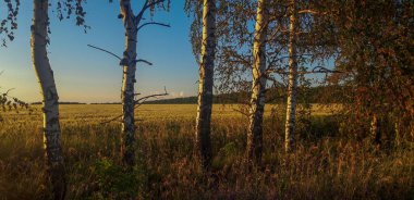 Rusların yaz akşamı kahpeleri.