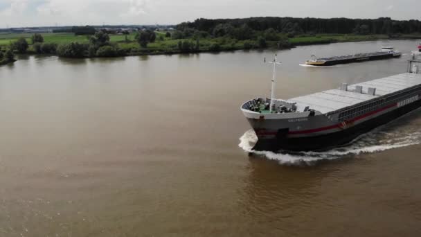 Oude Maas Taki Delfborg Kargo Gemisinin Yay Iskele Tarafı — Stok video