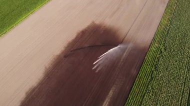 Sulama sistemini kullanarak ekinlerin havadan görüntüsü. Sulama Sistemi Sulama Çiftliği. eğik- yukarı