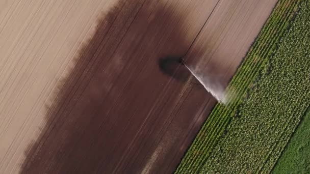 Tarladaki Yeşil Mahsulleri Sulayan Bir Çiftlik Fıskiyesinin Üst Görüntüsü Hava — Stok video