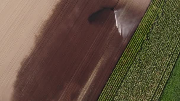 Agricoltura Irrigazione Irrigatore Irrigazione Fattoria Colture Antenna Dall Alto Verso — Video Stock